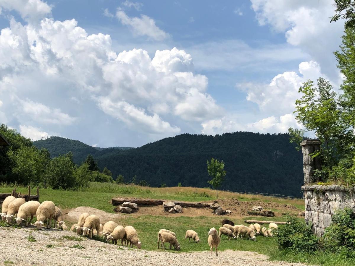 B&B Mad Mountain Robidisce Luaran gambar